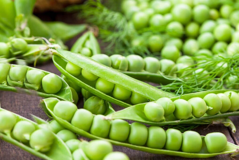 Green Arrow Pea