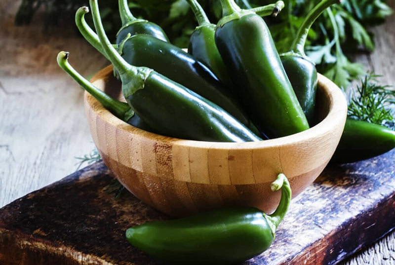 Jalapeno Pepper