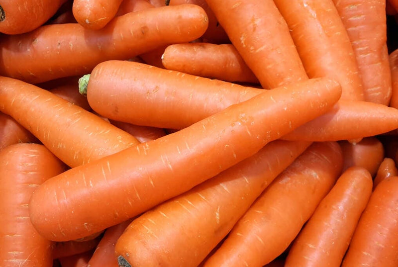 Scarlet Nantes Carrot